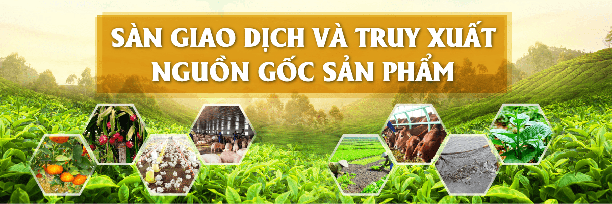 Hop Tac Xa Tan Thanh Tay Ninh 2