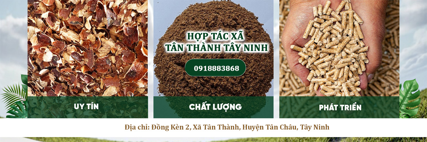 Hop Tac Xa Tan Thanh Tay Ninh 3